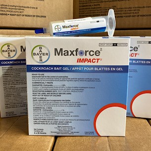 Maxforce Impact - Appât à blattes
